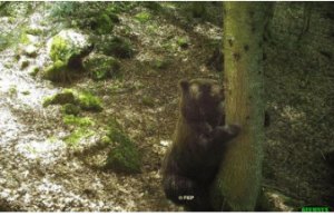 capture-d_c3a9cran-2015-09-24-c3a0-08-18-56